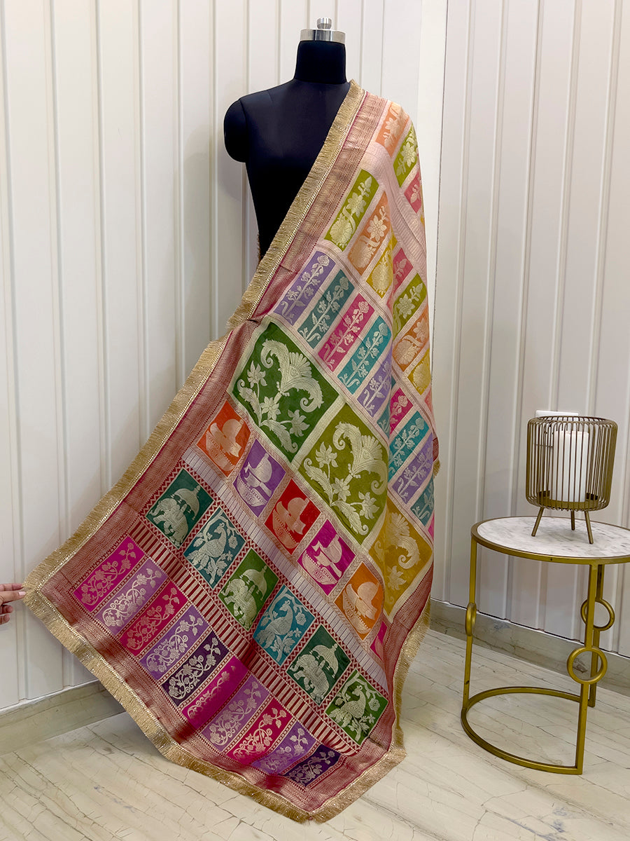 Amyra Dupatta-Multicolor