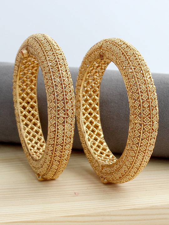 Avnisha Bangle Set-Gold