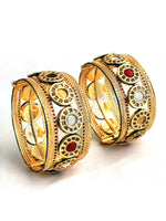 Utkarsha Bangle Set-Multicolor