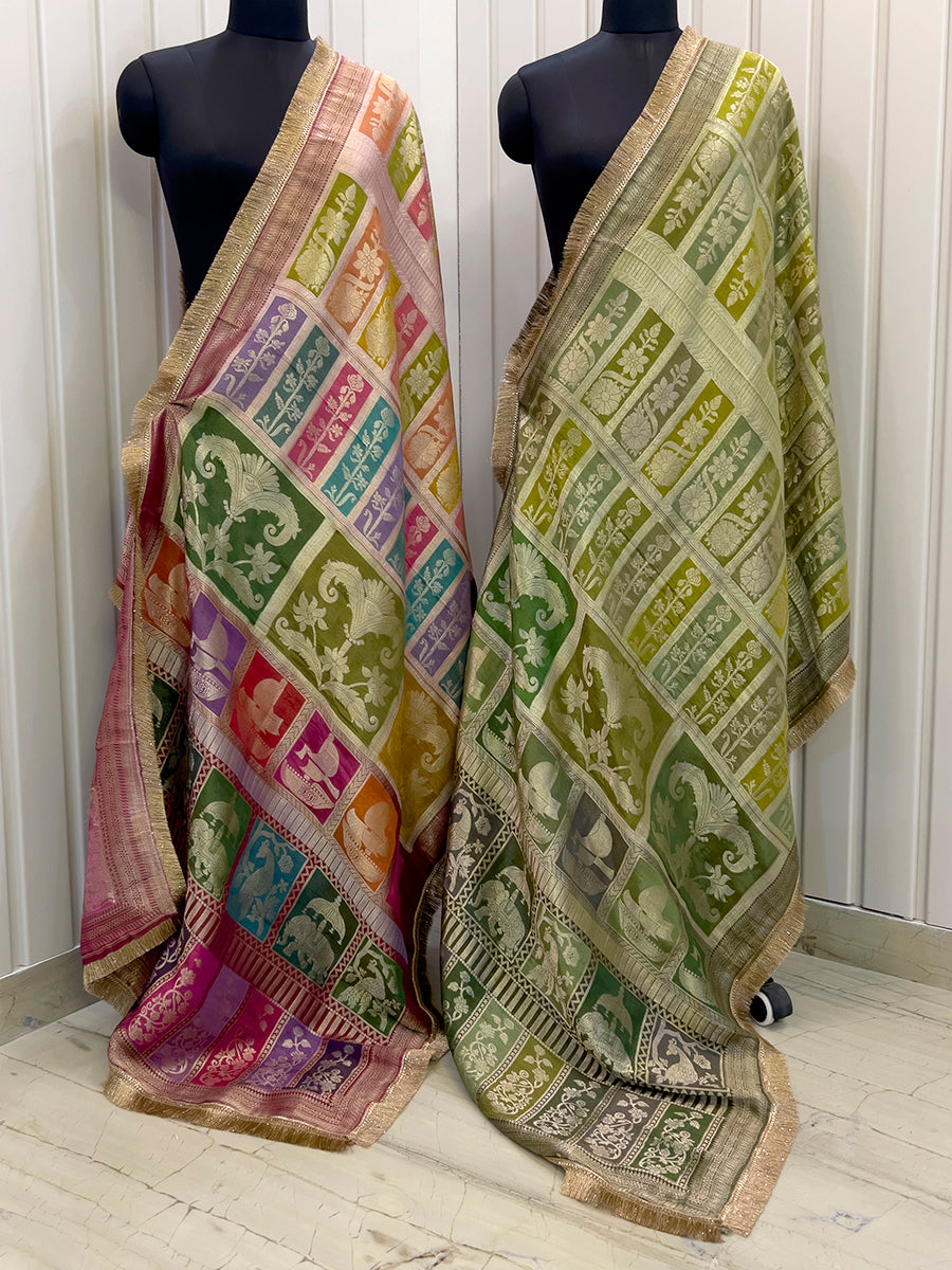 Amyra Dupatta