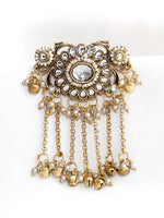 Pragati Hair Bun Pin