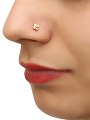 Alia Stud Nose Pin / Ring