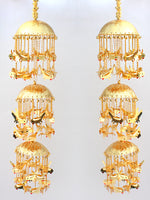 Sehar Kaleeray-Golden