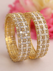 Srishti Bangle Set Golden