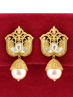 Ushna Earrings Success