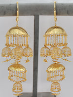Shruti Kaleeray-Golden